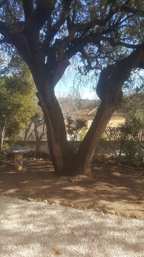 Charmant Appartement Neuf Le Taoume Μασσαλία Εξωτερικό φωτογραφία