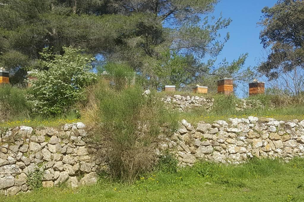 Charmant Appartement Neuf Le Taoume Μασσαλία Εξωτερικό φωτογραφία