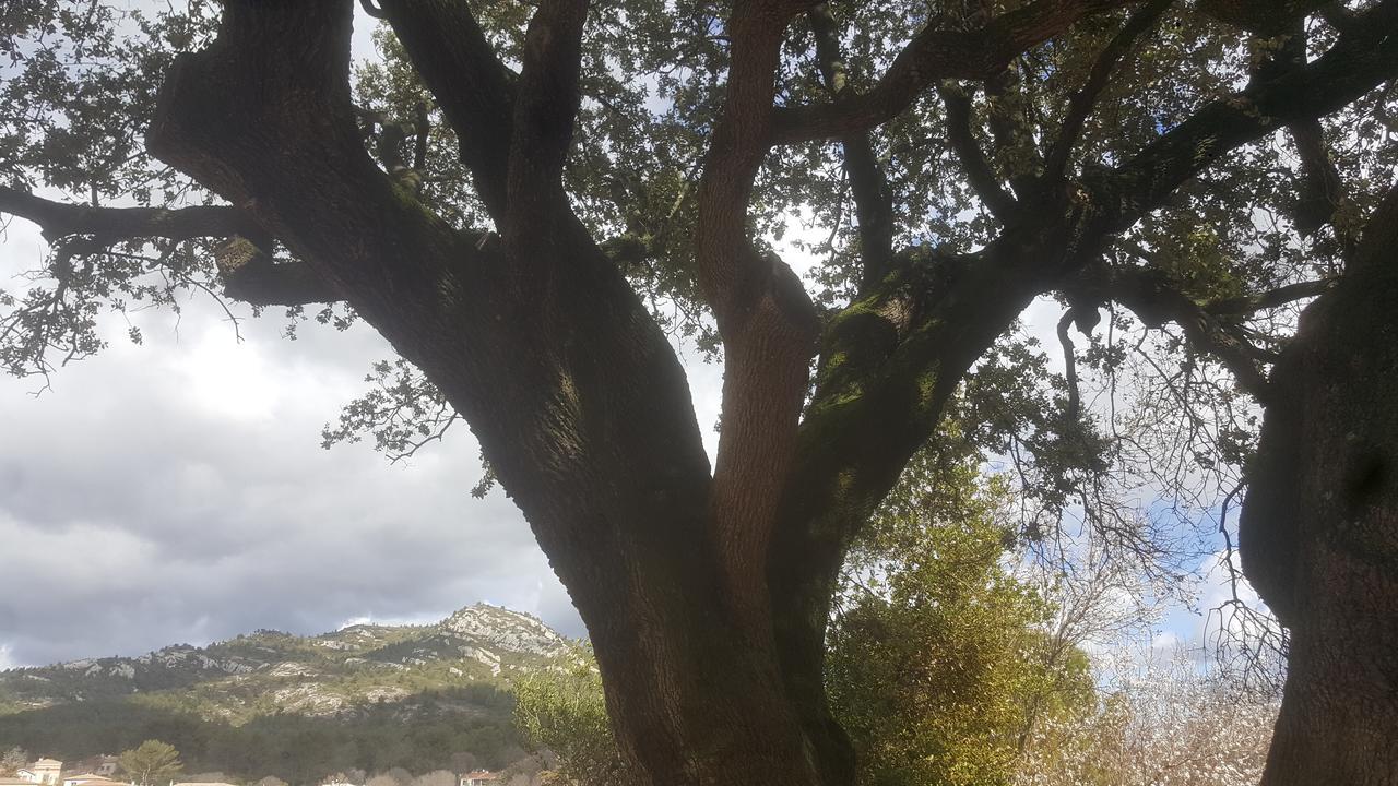 Charmant Appartement Neuf Le Taoume Μασσαλία Εξωτερικό φωτογραφία